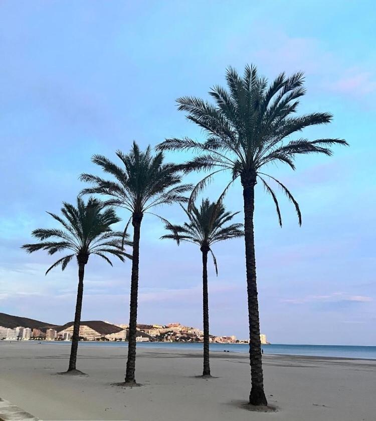 A 50 M De La Plage Cullera Exterior foto